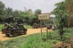Village idohu de l'Ituri. © Photo tiers